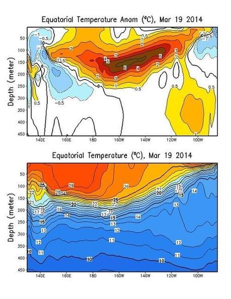 Monster El Nino Emerging From the Depths: Nose of Massive Kelvin Wave Breaks Surface in Eastern Pacific
