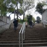 We Made It! We Made It!