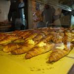 We Made It! We Made It!