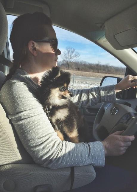 The World's Most Boring Highway