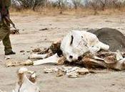 This Humans Are? Diminutive Monsters Death Destruction?