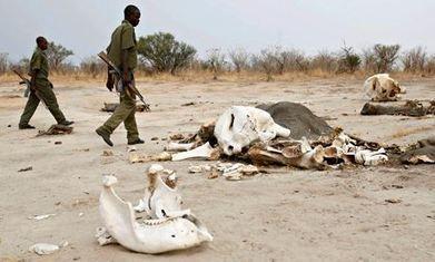 Is this all humans are? Diminutive monsters of death and destruction?