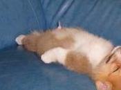 This Though Maybe (for Once) Cute!