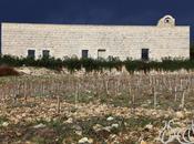 Ixsir: Lebanese Winery Future