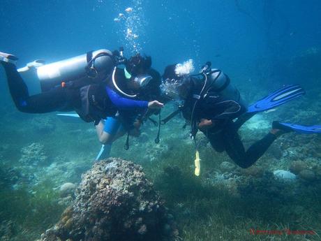 Discover Scuba Diving with Friends