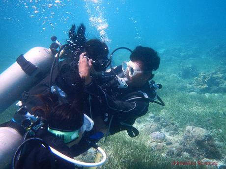 Discover Scuba Diving with Friends