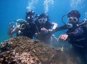 Sharing Attaining Serenity Joy: with Friends