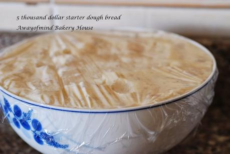 Five Thousand Dollar Starter Dough Bread: Parmesan Cheese and Cinnamon Rolls (五千块老式酵头面包）