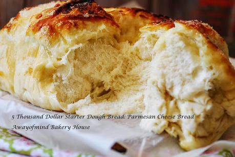 Five Thousand Dollar Starter Dough Bread: Parmesan Cheese and Cinnamon Rolls (五千块老式酵头面包）