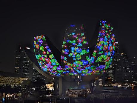 i Light Marina Bay - CELEBRATION OF LIFE