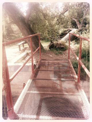 This bridge is the precise spot along the trail where my tears begin to flow. Perfect: a dry creekbed needed my tears, perhaps, as much as I needed to cry in wonder.