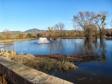 Visiting Reynolds Family Winery