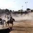 VERY GRAPHIC MEDIA: Petitions to sign: “Torneo de Lazo” Horses Eviscerated Alive For Fun