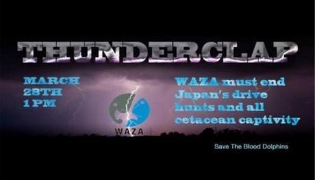 Newsweek Engulfed In Social Media Backlash on Eve of Historic WAZA Dolphin Protest