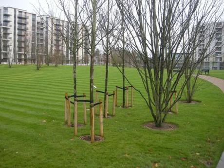 Victory Park, Stratford - Tree Planting Within the Park
