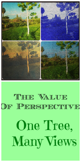 Explore the Value of Perspective: One Tree, Many Views