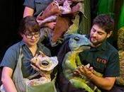 Review: Erth’s Dinosaur Live (Broadway Chicago)