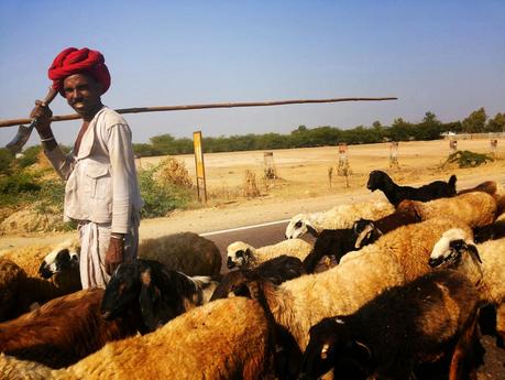 The journey and the rural backdrop of Rajasthan