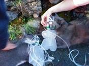 Feel Good Story: Seattle Firefighters Resuscitate Cats Trapped Inside Burning Home