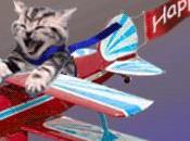 From Traffic Control