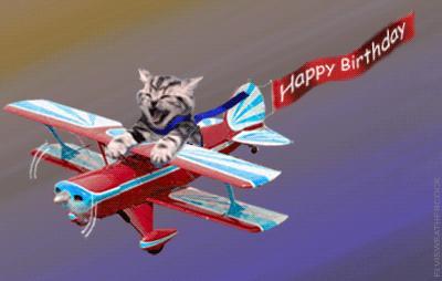 cat flying Happy Birthday plane