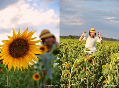 Tiffany on the sunflower field, Queensland | Lacenruffles.com