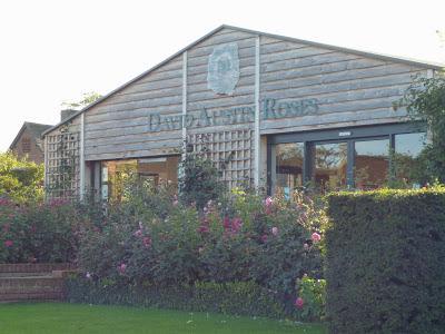 David Austin Roses Tearoom David Austin Roses Tearoom