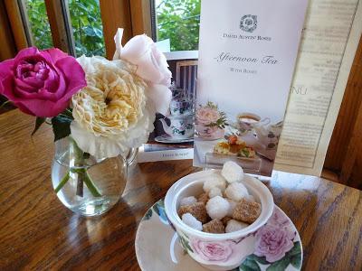 David Austin Roses Afternoon Tea Tearoom David Austin Roses