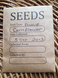 Save your seeds - Dwarf Cornflowers