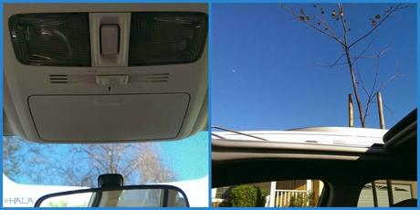 Forester Moonroof