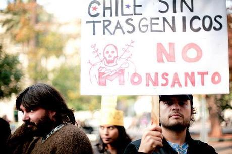 Global March Against Monsanto, Santiago, Chile. (Photo: Tamara Kramarenco Müller / Flickr)