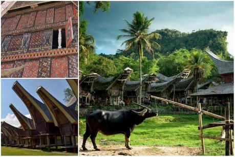 Views of tana Toraja