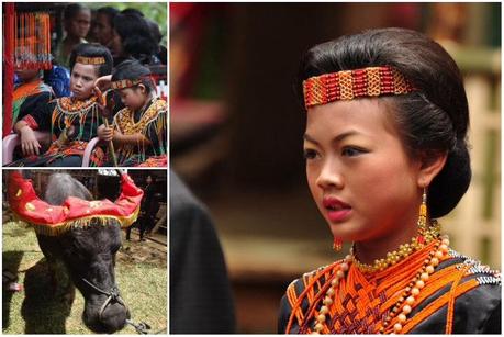 The lavish funerals in Tana Toraja have now become a tourist attraction.