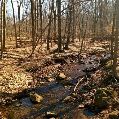 Eagle Rock Reservation