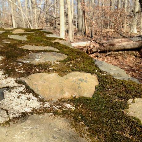 Eagle Rock Reservation