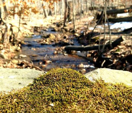 Eagle Rock Reservation