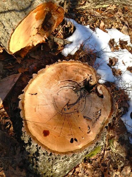 Eagle Rock Reservation