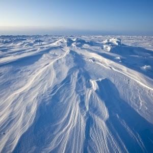 North Pole 2014: Barneo Ice Camp Set To Open This Week