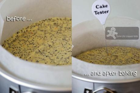 Orange Poppy Seed Cake (Donna Hay)