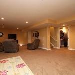 10637 Stone Creek Ct Parker CO 80134 Stonegate Village finishedbasement3_500