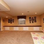 10637 Stone Creek Ct Parker CO 80134 Stonegate Village finishedbasement_500