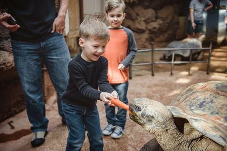 A Once In A Lifetime Trip To The Zoo! {Take THAT Autism}