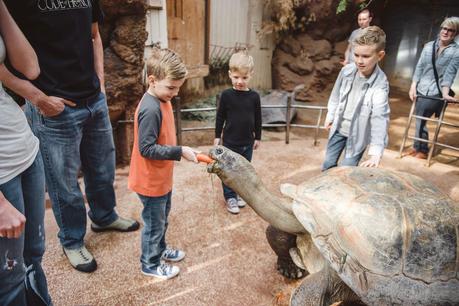 A Once In A Lifetime Trip To The Zoo! {Take THAT Autism}