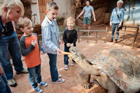 A Once In A Lifetime Trip To The Zoo! {Take THAT Autism}