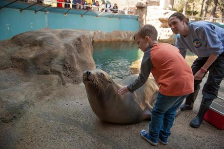 A Once In A Lifetime Trip To The Zoo! {Take THAT Autism}