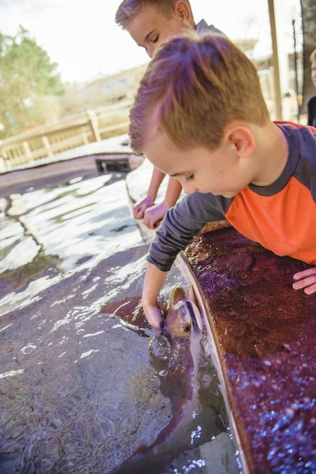 A Once In A Lifetime Trip To The Zoo! {Take THAT Autism}