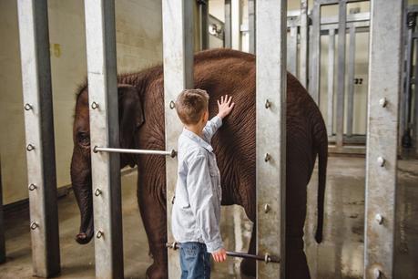 A Once In A Lifetime Trip To The Zoo! {Take THAT Autism}