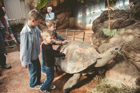 A Once In A Lifetime Trip To The Zoo! {Take THAT Autism}