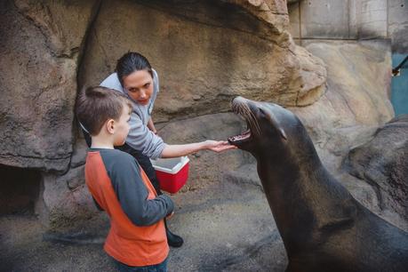 A Once In A Lifetime Trip To The Zoo! {Take THAT Autism}