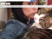 Google Launches 'Shelfie' Fools